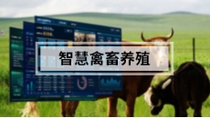 智慧畜牧养殖解决方案