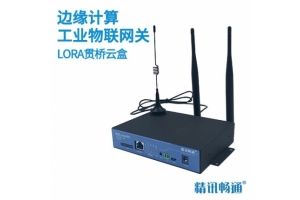 边缘计算工业物联网关LORA贯桥云盒