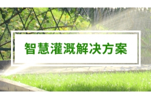 智慧灌溉-自动灌溉-绿化/园林/农业灌溉
